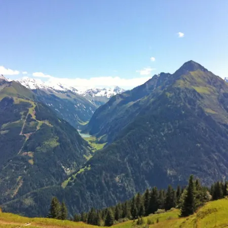 Steiner - Mho571 Ramsau im Zillertal